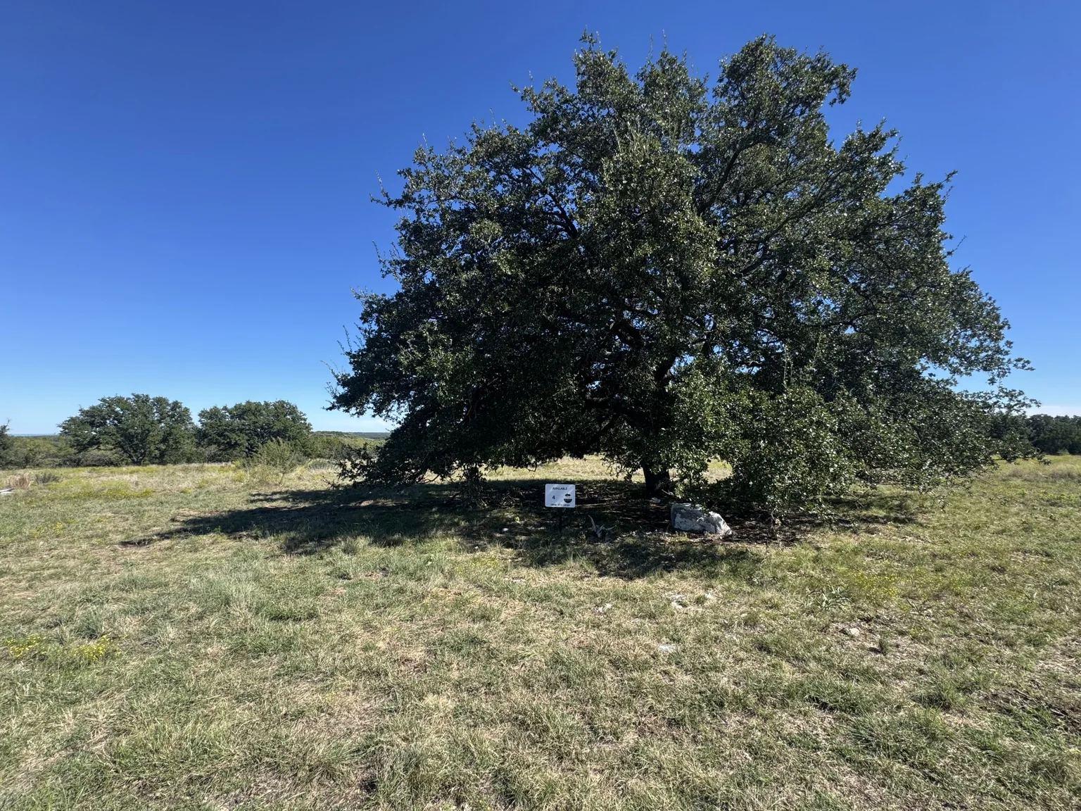 Sawmill Ridge Lot 4 — Signature Live Oak