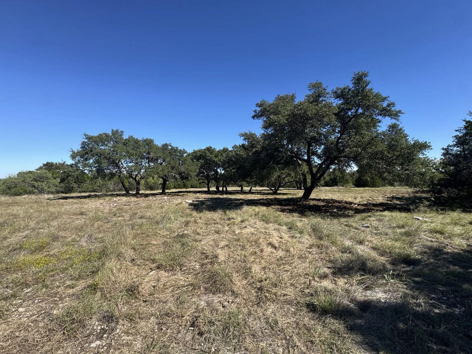 Sawmill Ridge Lot 4 — Oak Grove & Open Meadow