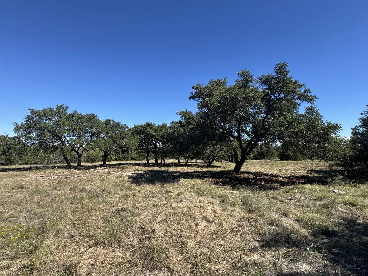 Sawmill Ridge Lot 4 — Mature Oaks Across the Meadow