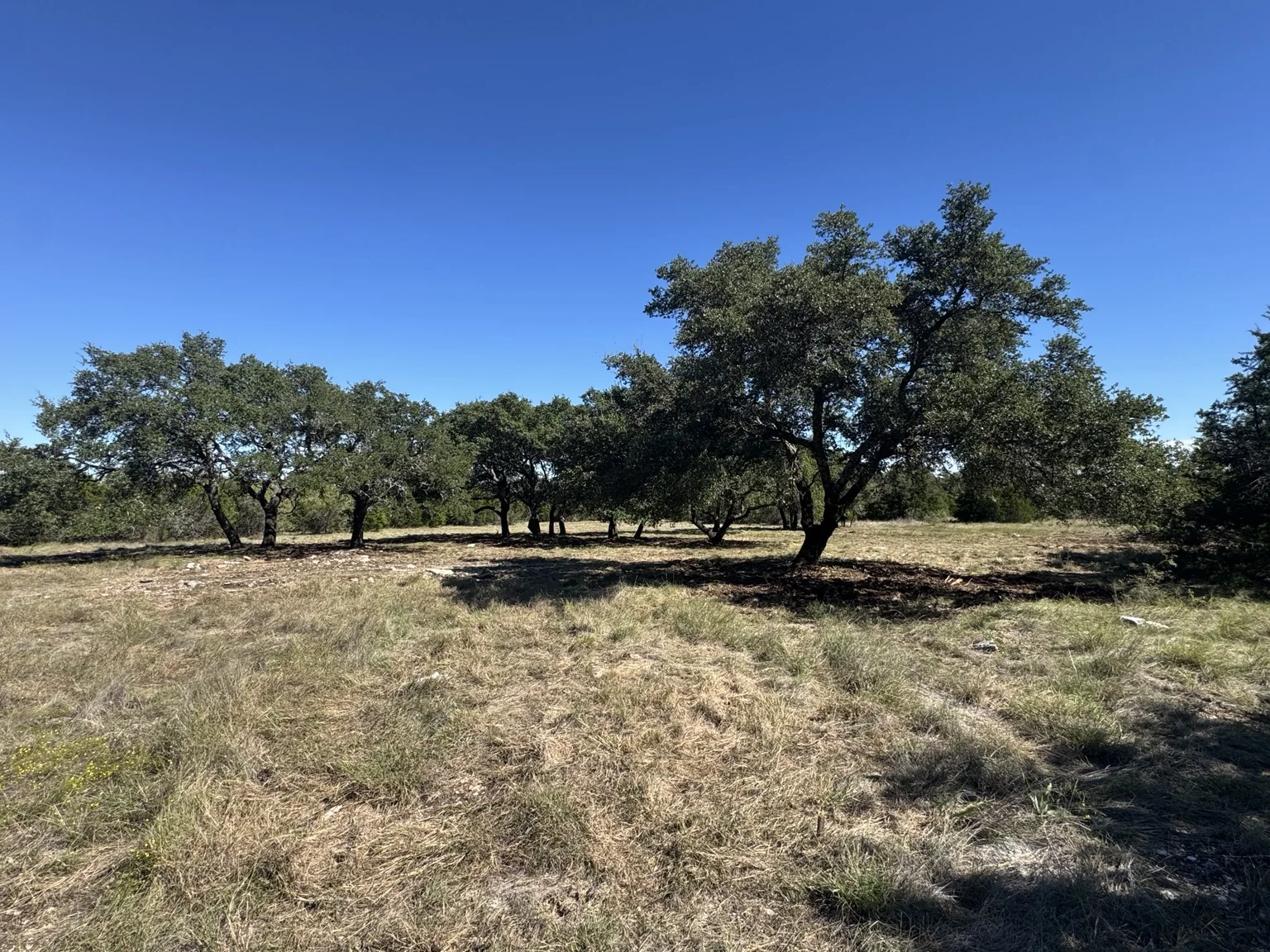 Sawmill Ridge Lot 4 — Peaceful Oak-Lined Acreage