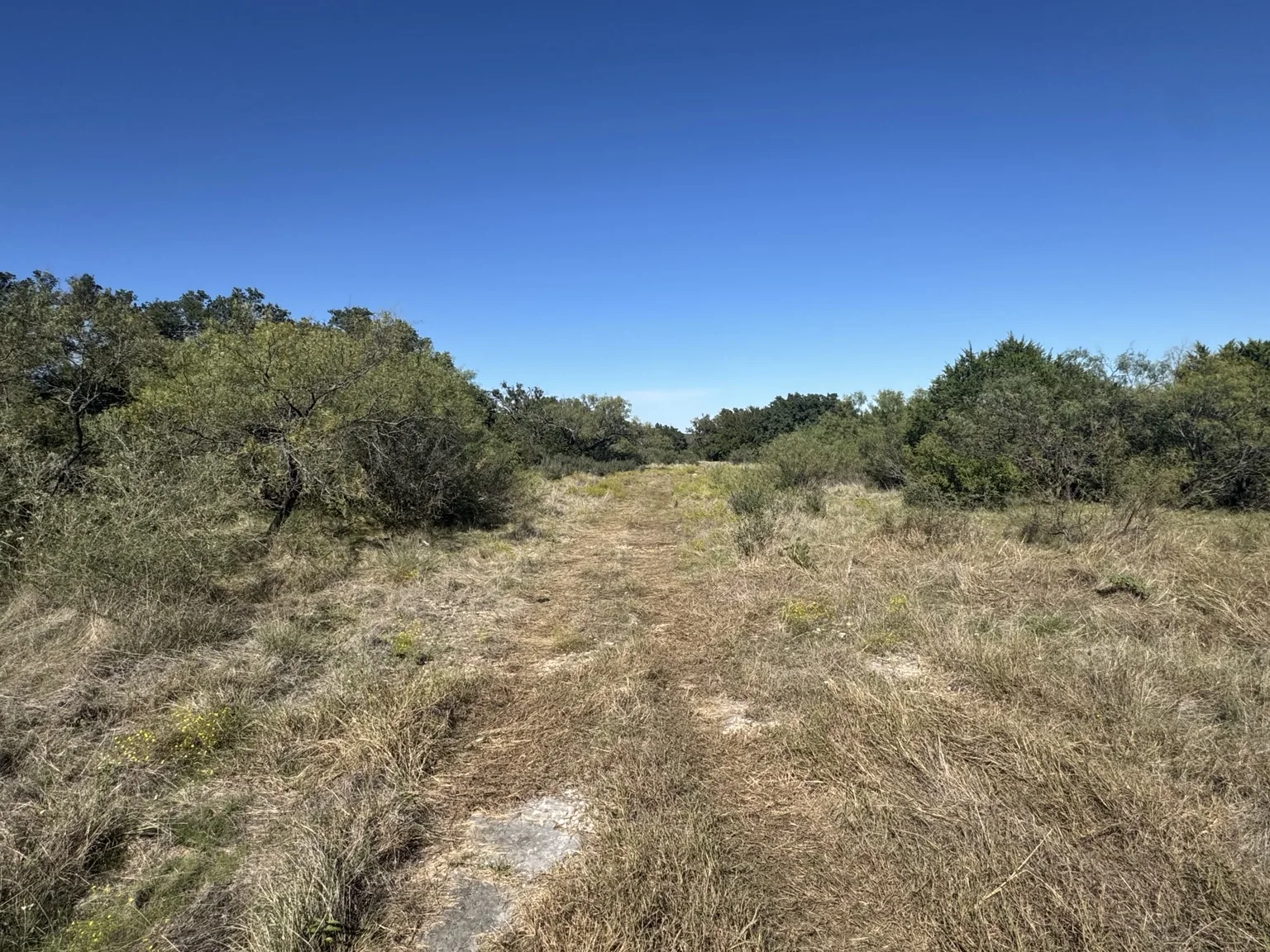 Sawmill Ridge Lot 4 — Natural Trail Through Acreage