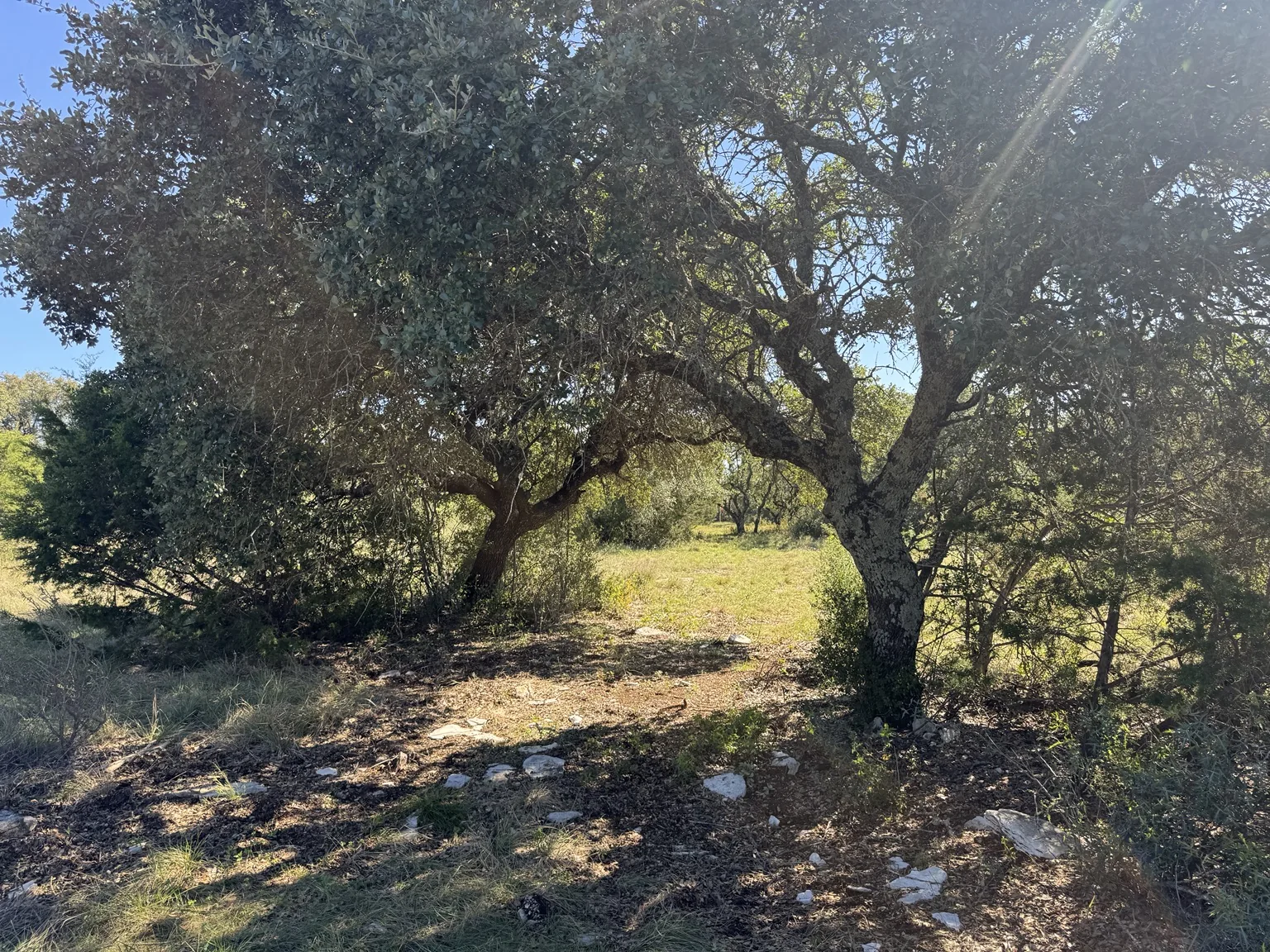 Sawmill Ridge Lot 4 — Signature Live Oak0